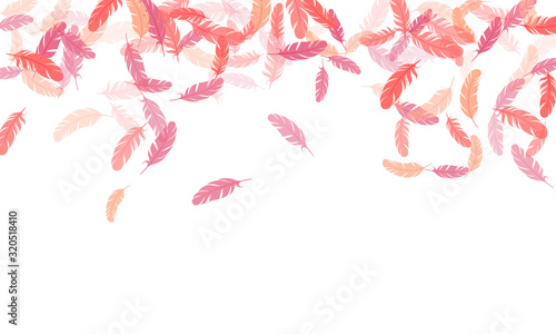 Flying feather elements airy vector design.