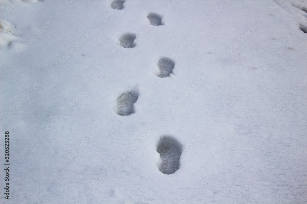 A steps against snow background. footprints on white snow background of boots. Human traces on snow. A steps against snow background. footprints on white snow background of boots. Human traces on snow.
