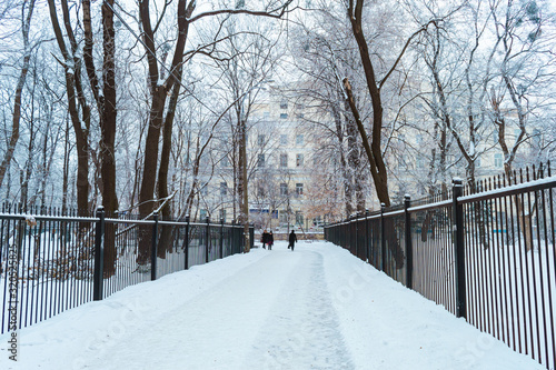 Fomin Botanical Garden after snow storm in Kyiv, Ukraine on January 28, 2019.  © Vitali