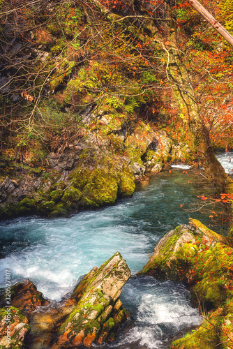 Famous Vintgar gorge (soteska Vintgar) or Bled Gorge (Blejski vintgar) in Slo...