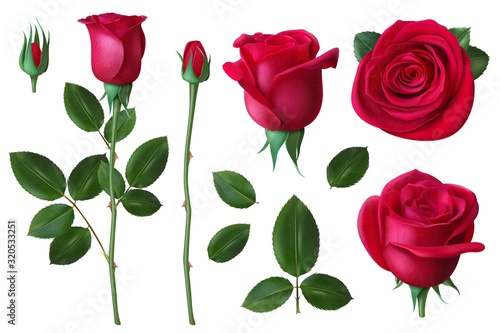 Realistic rose. Dog-rose flower blossom petals and buds, romantic floral decoration for wedding and valentines day greeting card vector set. Illustration flower blossom, floral rose buds and petals