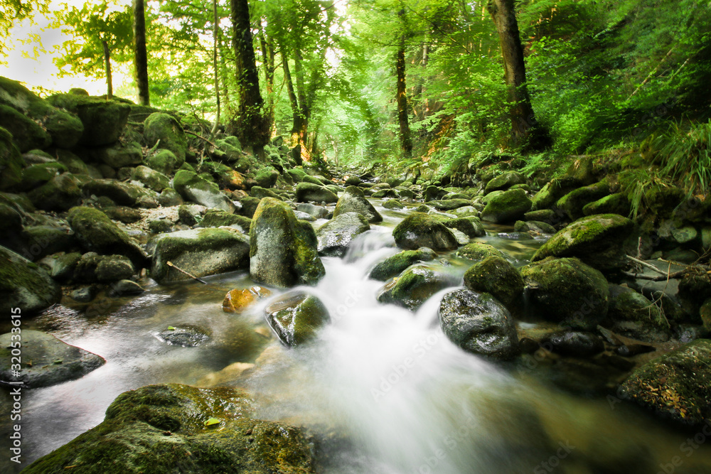 Wildbach im Schwarzwald mit Steinen Wildbach im Schwarzwald mit Steinen