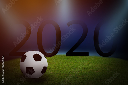 Soccer stadium, green grass and night sky background.