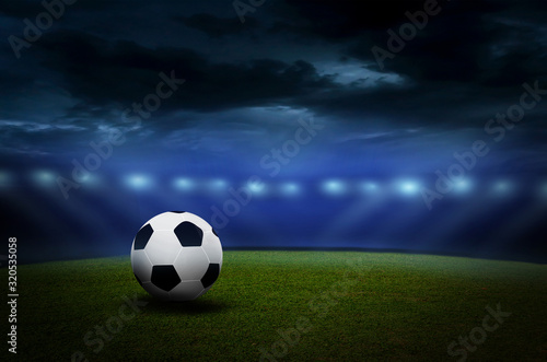 Fototapeta Naklejka Na Ścianę i Meble -  Soccer stadium, green grass and night sky background.