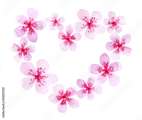 Elegant hand drawn watercolor florals element combined into a heart frame. Valentine's love design. Light pink pastel purple sakura loose flowers
