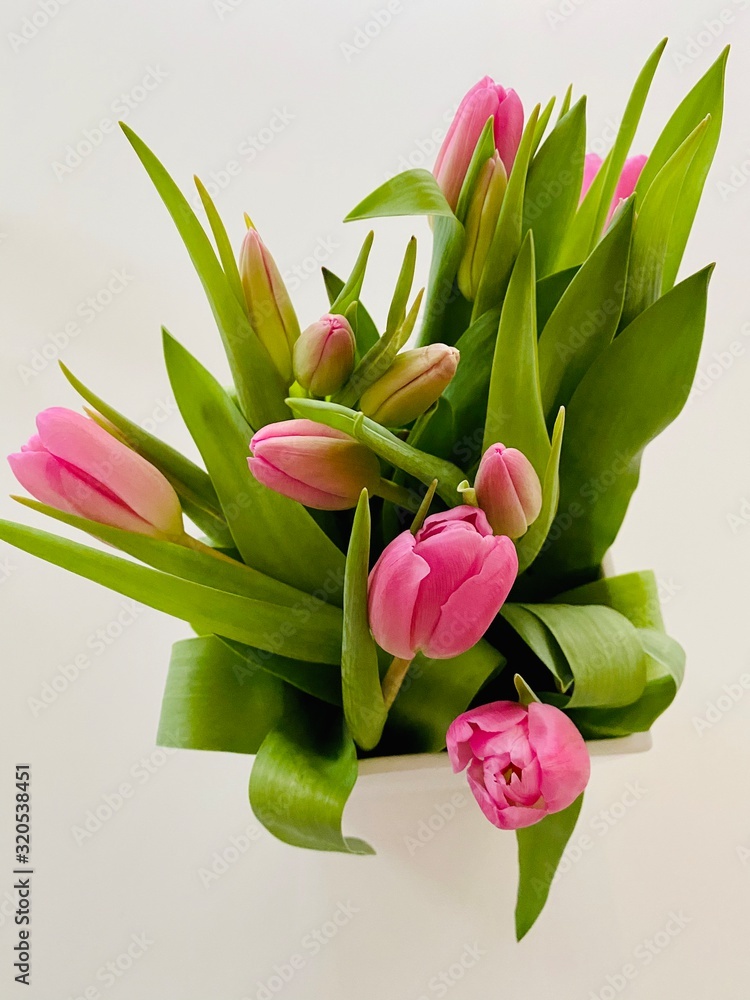 bouquet of tulips bouquet of tulips
