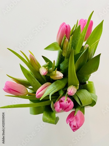 bouquet of pink tulips