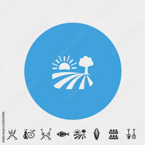 snset icon vector illustration and symbol foir website and graphic design photo