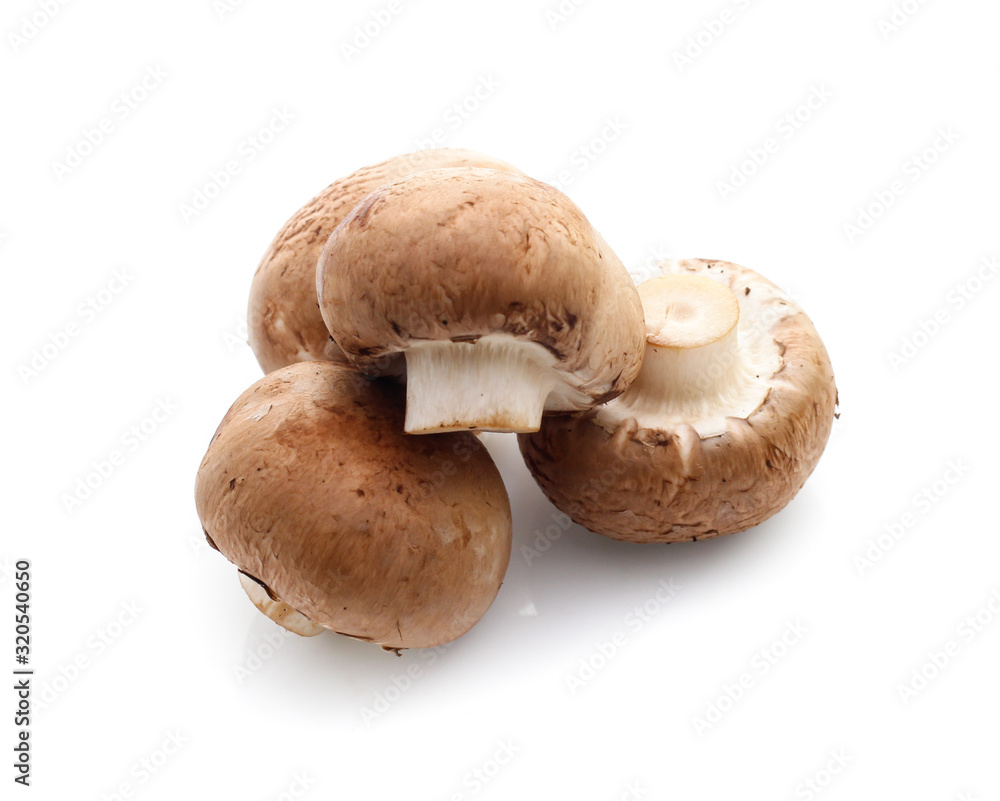 champignon mushrooms on white background champignon mushrooms on white background