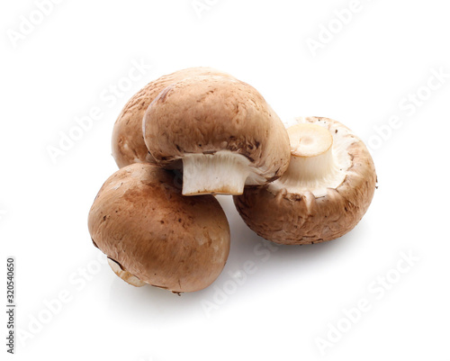 champignon mushrooms on white background