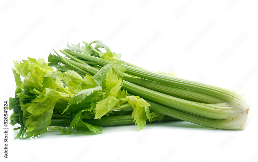 fresh celery isolated on white background fresh celery isolated on white background
