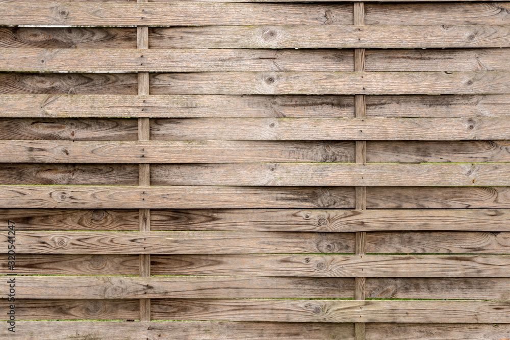 Fototapeta premium Wood fence texture