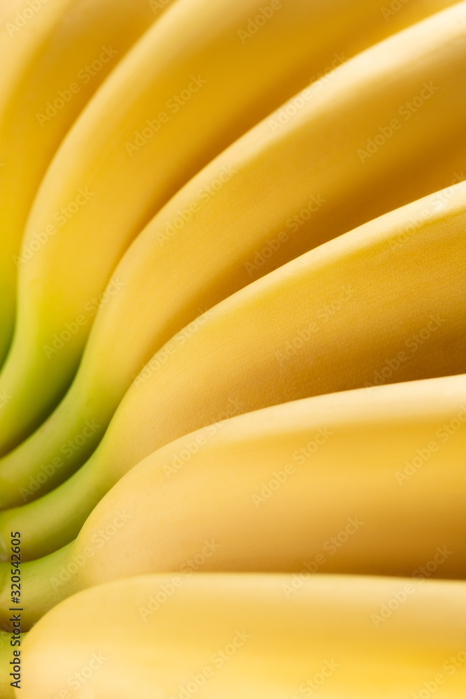 close up of banana bunch