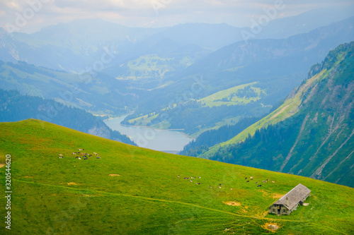 Typical summer mountains Switzerland landscape