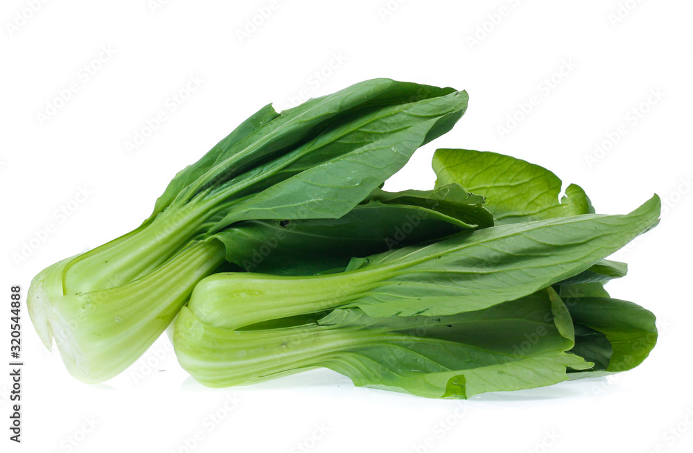 Chinese Vegetable cabbage on white background Chinese Vegetable cabbage on white background