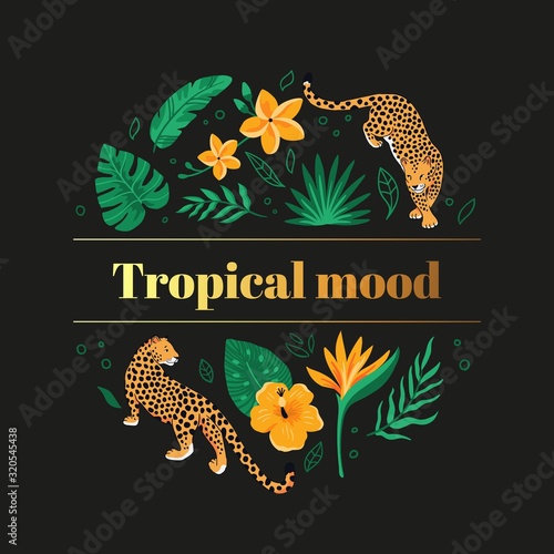 The wild concept with tropical leaves and leopards. Illustration with exotic jungle plants and animals. Vector illustration on the black background.