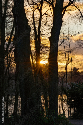 Abendstimmung am See bei untergehender Sonne, die zwischen Bäumen hindurch scheint © Norbert Kiel