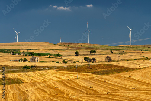 Fototapeta Naklejka Na Ścianę i Meble -  Rural landscape in Apulia at summer