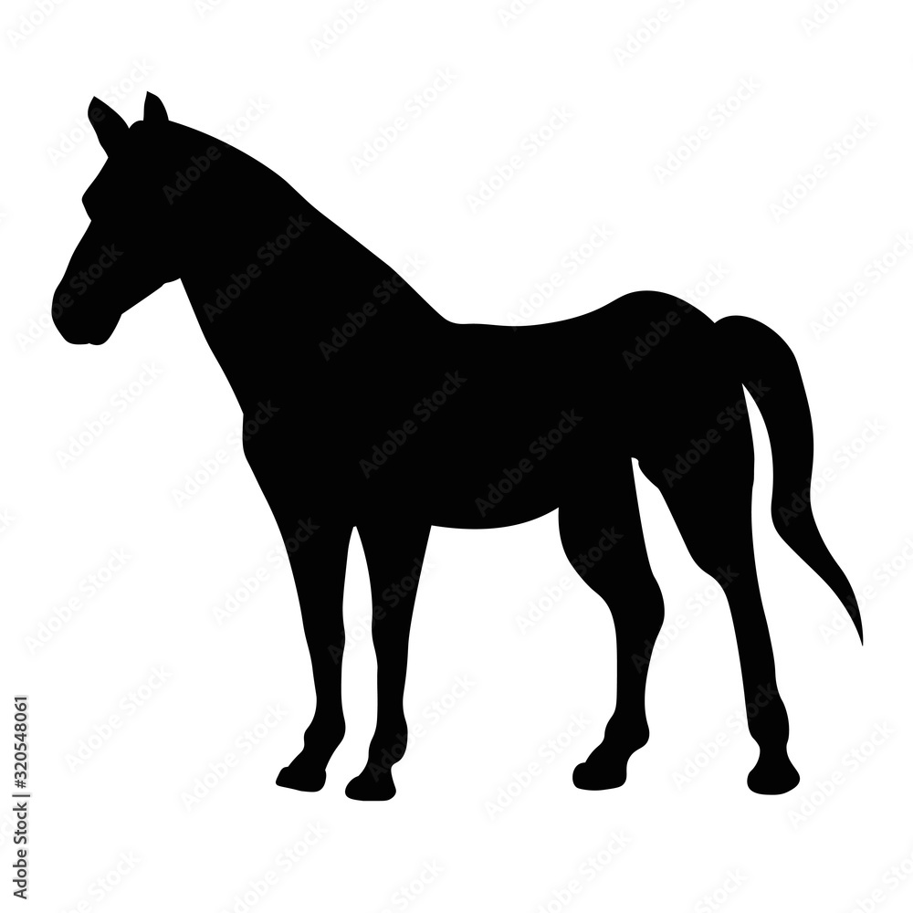 shilhouette horse vector illustration black colour design isolated on white background Wild animal Vector card with hand drawn Ink drawing, minimalism icon
