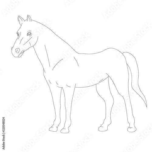 shilhouette horse vector ilustration black and white colour design isolated on white background Wild animal Vector card with hand drawn Ink drawing  minimalism  line art