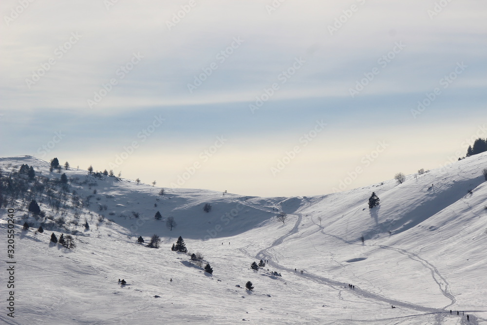 Paesaggio invernale