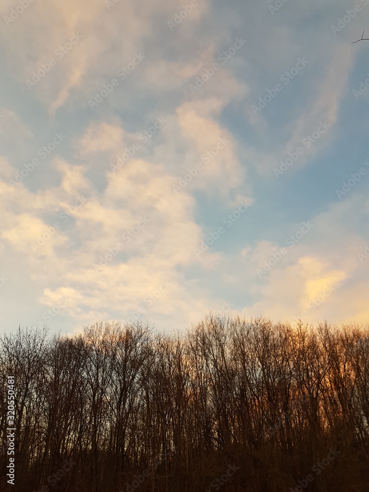 Fototapeta premium bei Sonnenuntergang im Park zwischen den Bäumen