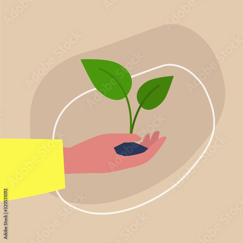 Go green, light-skinned hand holding a plant sprout, sustainability and responsibility, eco friendly behaviour