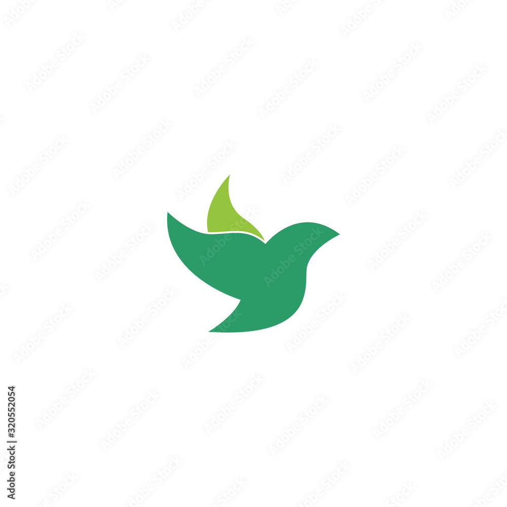 Bird Modern Logo Template. Vector Illustrator.