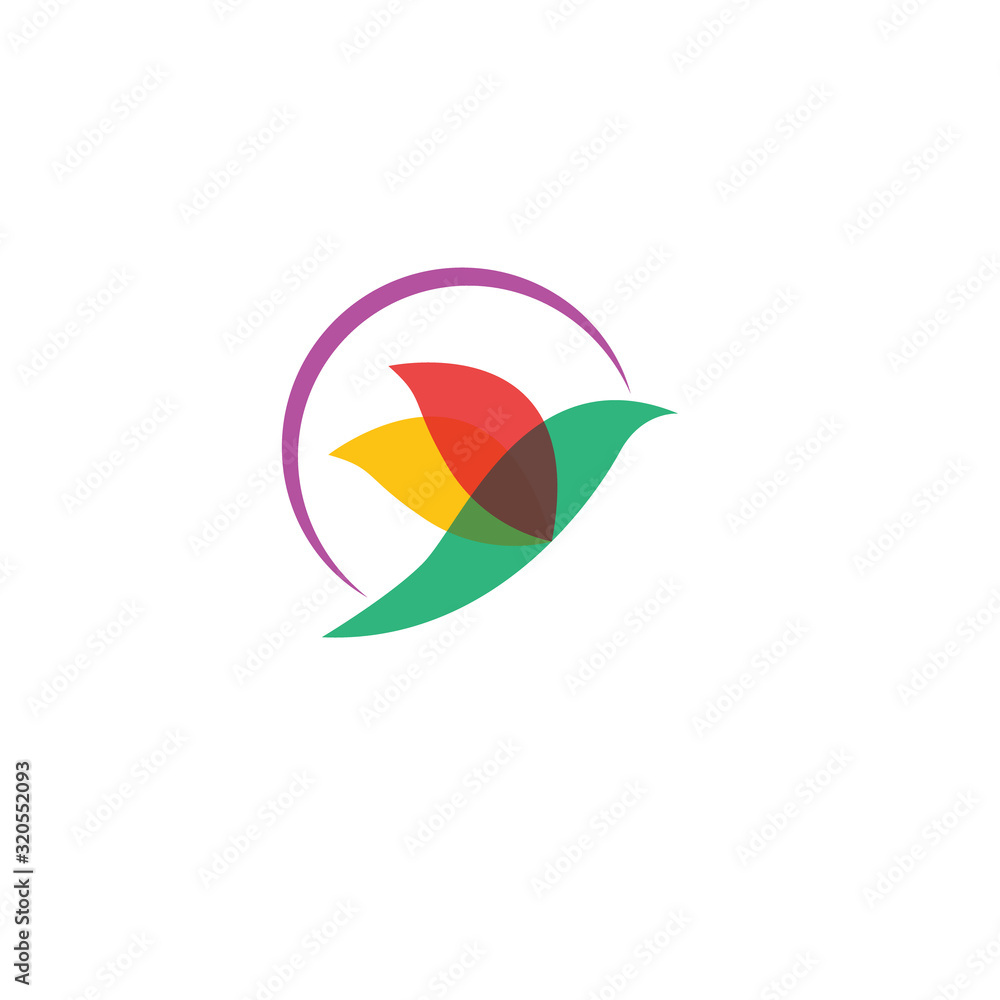 Bird Modern Logo Template. Vector Illustrator. Bird Modern Logo Template. Vector Illustrator.
