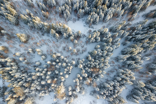 Winter forest with frosty trees, aerial view. Coniferous tree. Russian