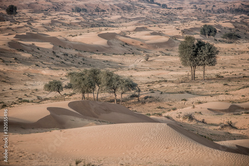 The Desert, Ras al Khaimah, UAE