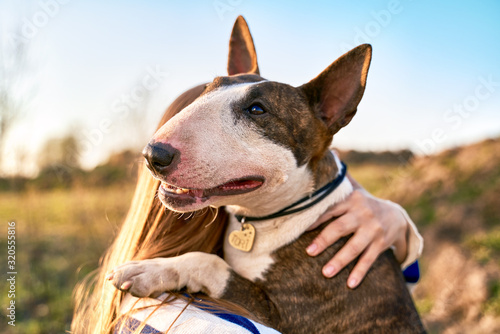 Young girl walks with bull Terrier in fresh air. Bald dog with short hair, long massive muzzle, medium size. Woman is wearing striped jumper. Walking in Park in an open field on bright Sunny day.
