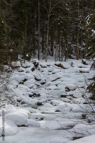 Mountain stream in the winter Carpathian Mountains. The path to the highest mountain of Ukraine-Hoverla