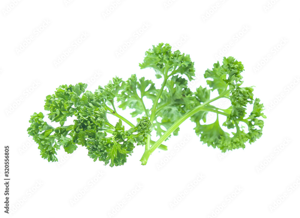 Parsley isolated on white background Parsley isolated on white background
