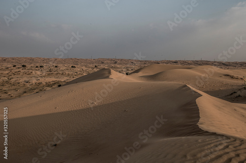 The Desert  Ras al Khaimah  UAE