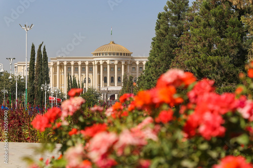 View of the presidential palace in Dushanbe through flowers of the garden