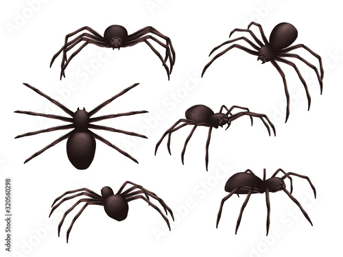 Insects realistic. Spider danger venom horror poisonous black symbols vector set. Illustration spider danger, realistic horror scary, creepy insect