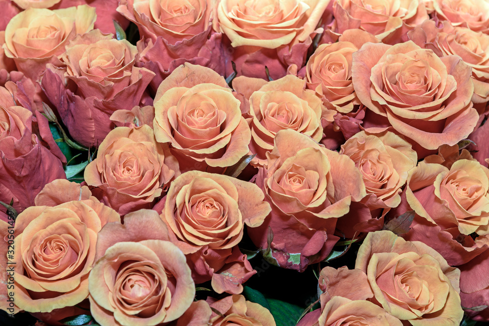 Background of bouquets of flowers. Roses. Design. Close up. Background of bouquets of flowers. Roses. Design. Close up.