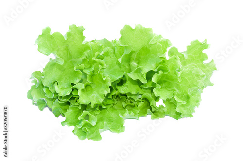 Green lettuce salad isolated on white background.