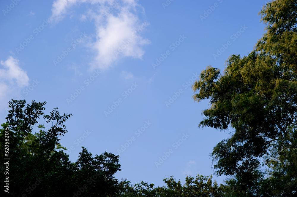 The sky and the bright clouds in the morning of every day The sky and the bright clouds in the morning of every day