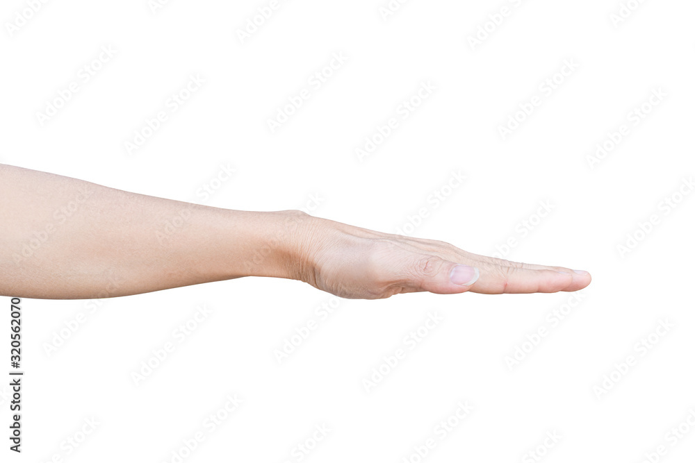 Inverted palm isolated on white background with clipping path. Flat hand