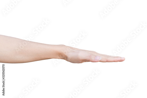 Inverted palm isolated on white background with clipping path. Flat hand