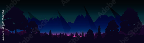 Night sky over the mountains. big forest. City lights in the distance. Beautiful landscape. Vector