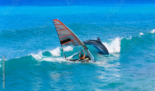 Windsurfing sails on the blue sea and wave with dolphin
