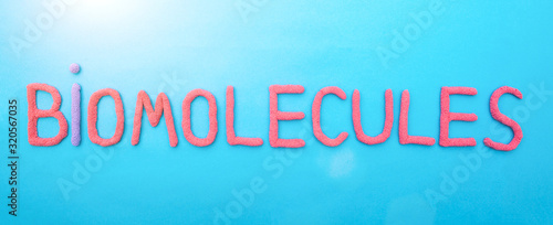 Inscription biomolecule in red letters on a blue background. The concept of the section of science in biology photo