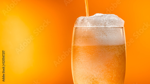 Tableau sur toile Lager beer settles in the glass with a white cap of foam