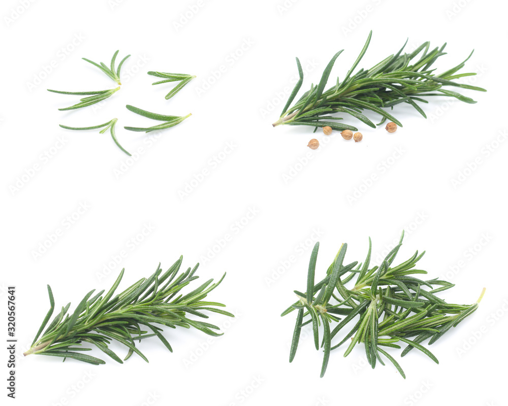 Naklejka premium rosemary isolated on white background (Mix, set , collection)