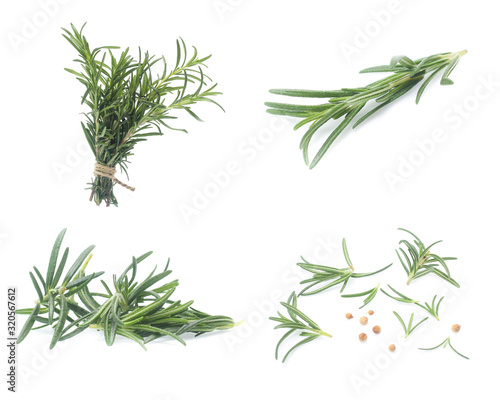 rosemary isolated on white background (Mix, set , collection)