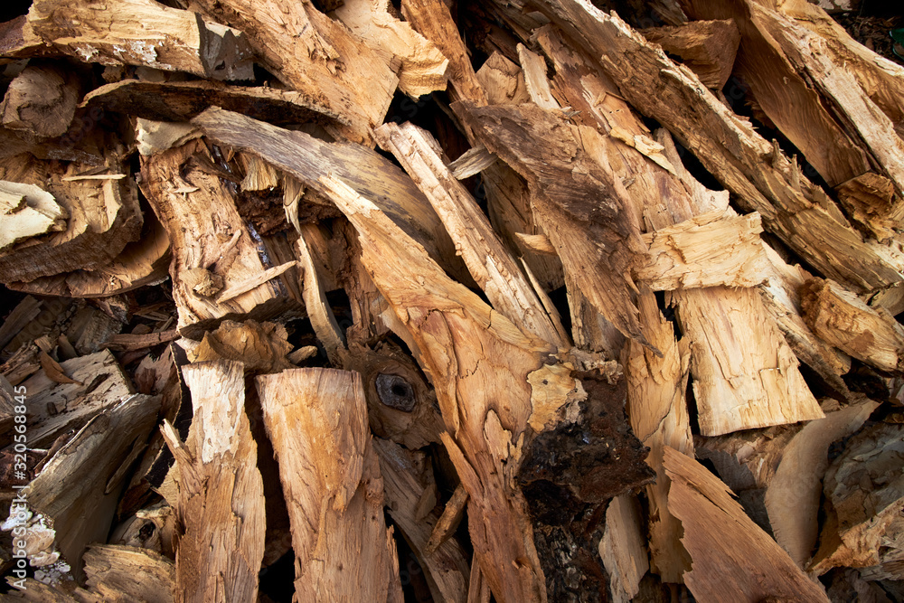 Firewood Wooden Log Background Texture Firewood Wooden Log Background Texture