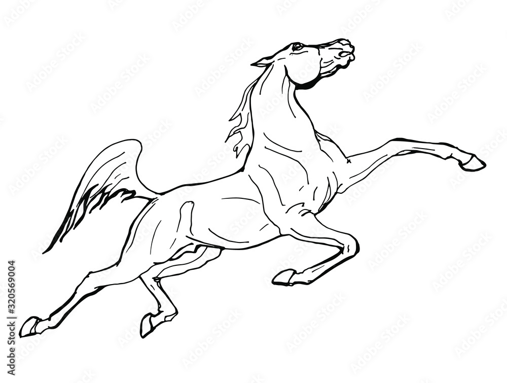Obraz premium galloping horse, outline drawing, sketch, isolated monochrome image on white background